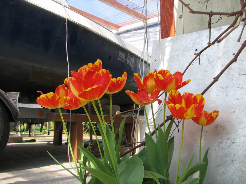 Ostern 2011