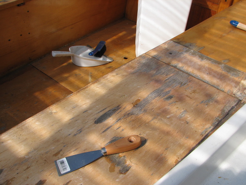 Vergammeltes Holz